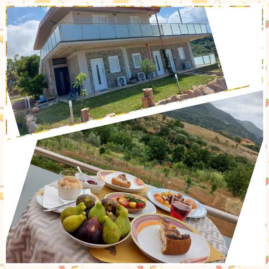 Casa Del Sole Bed & Breakfast Ceraso Exterior photo